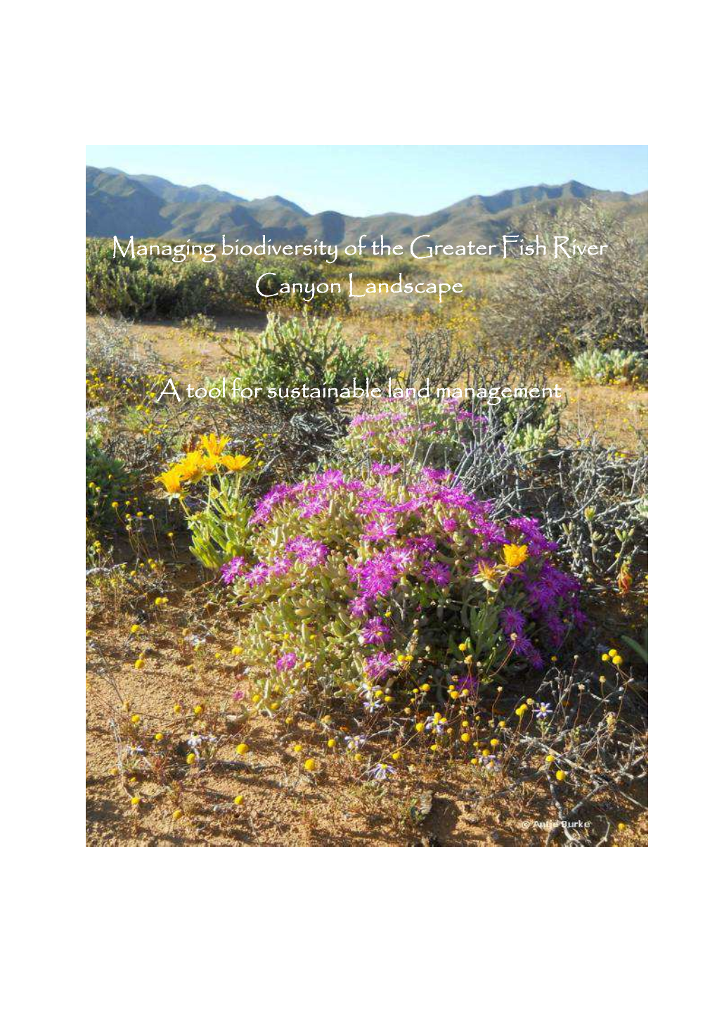 Managing Biodiversity of the Greater Fish River Canyon Landscape