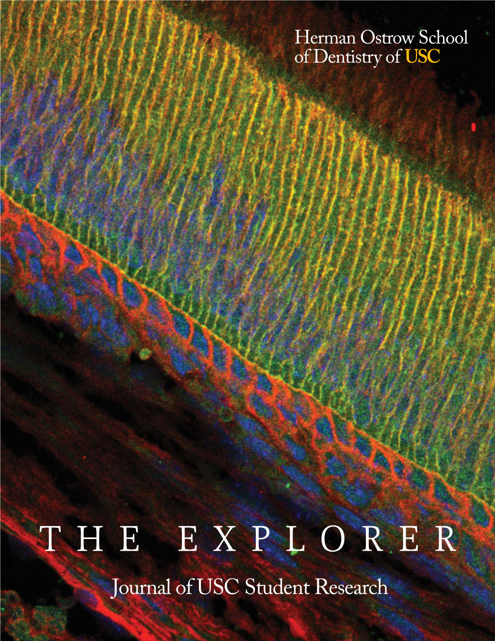 The Explorer