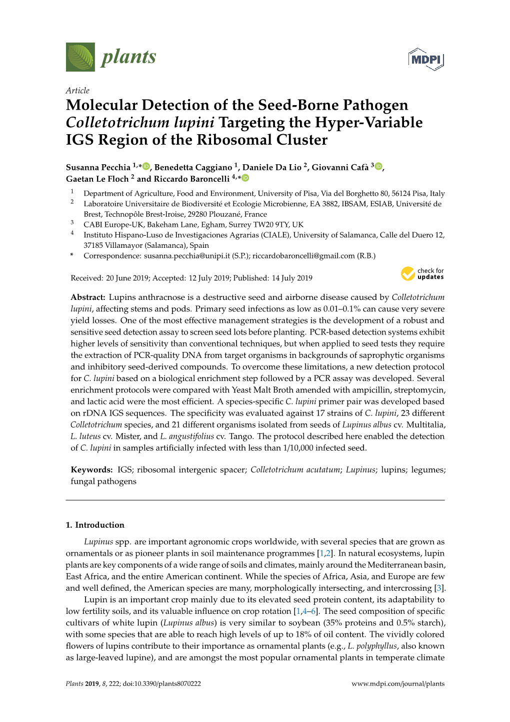 Molecular Detection of the Seed-Borne Pathogen Colletotrichum Lupini Targeting the Hyper-Variable IGS Region of the Ribosomal Cluster