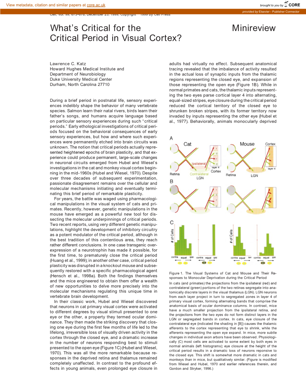 What's Critical for the Minireview Critical Period in Visual Cortex?