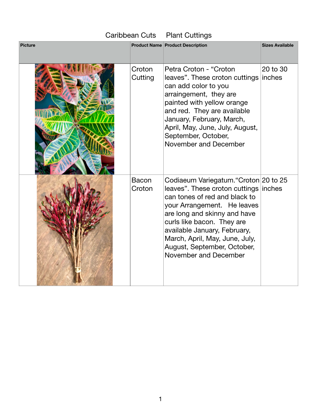Cuttings Picture Product Name Product Description Sizes Available