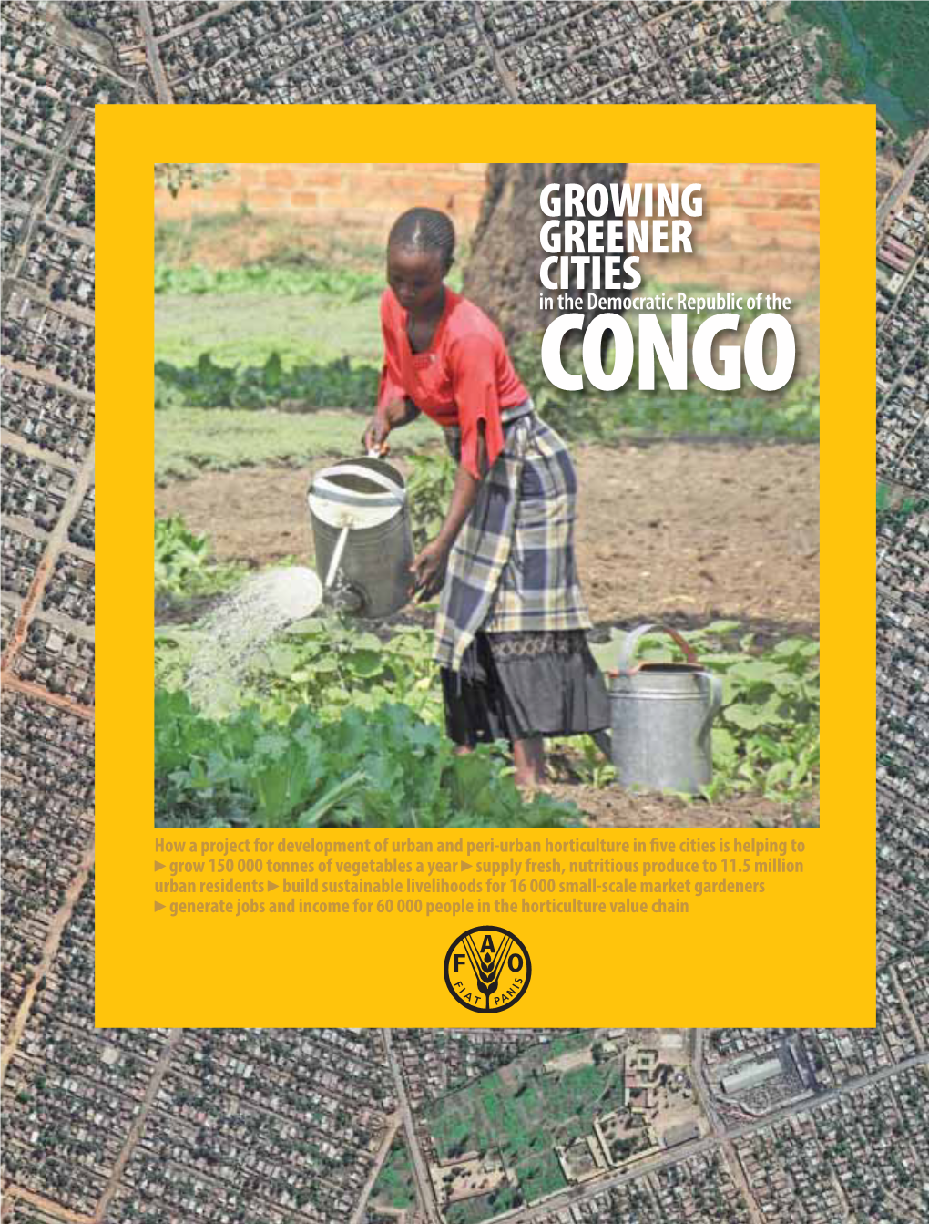 Growing Greener Cities in the Democratic Republic of Congo