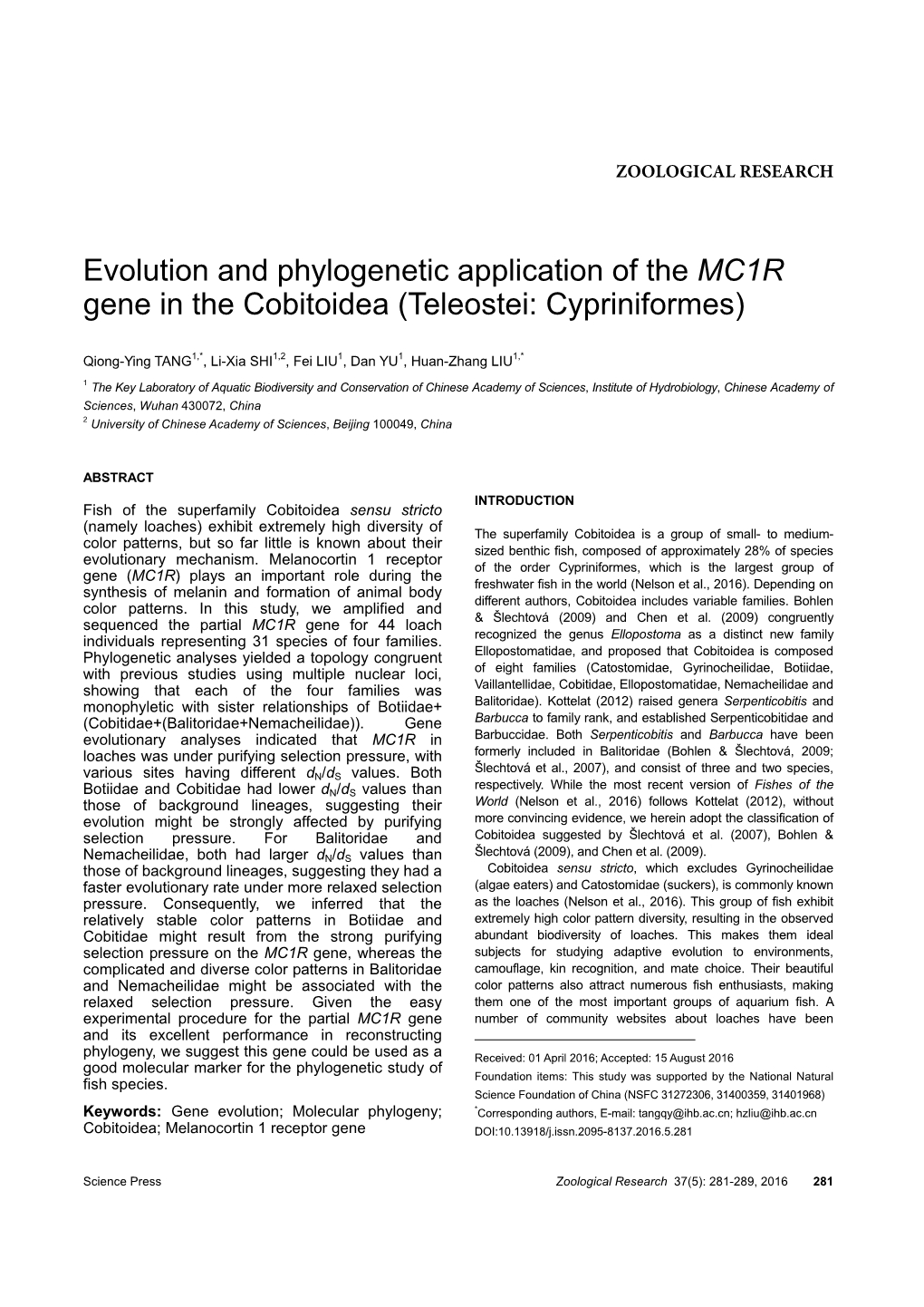 Evolution and Phylogenetic Application of the MC1R Gene in the Cobitoidea (Teleostei: Cypriniformes)