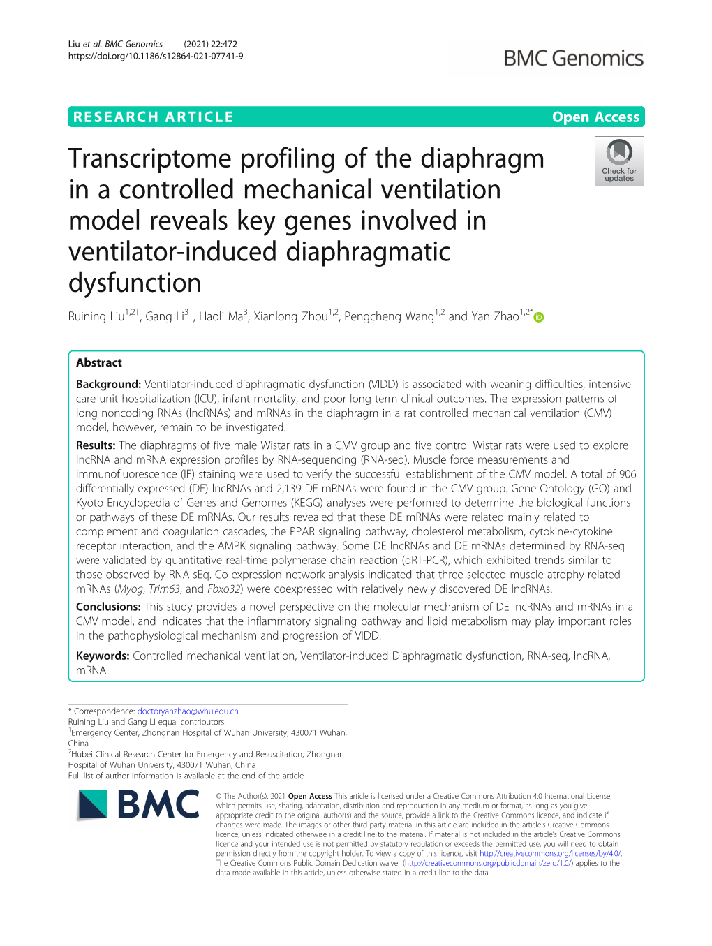 Transcriptome Profiling of the Diaphragm in a Controlled Mechanical Ventilation Model Reveals Key Genes Involved in Ventilator-I