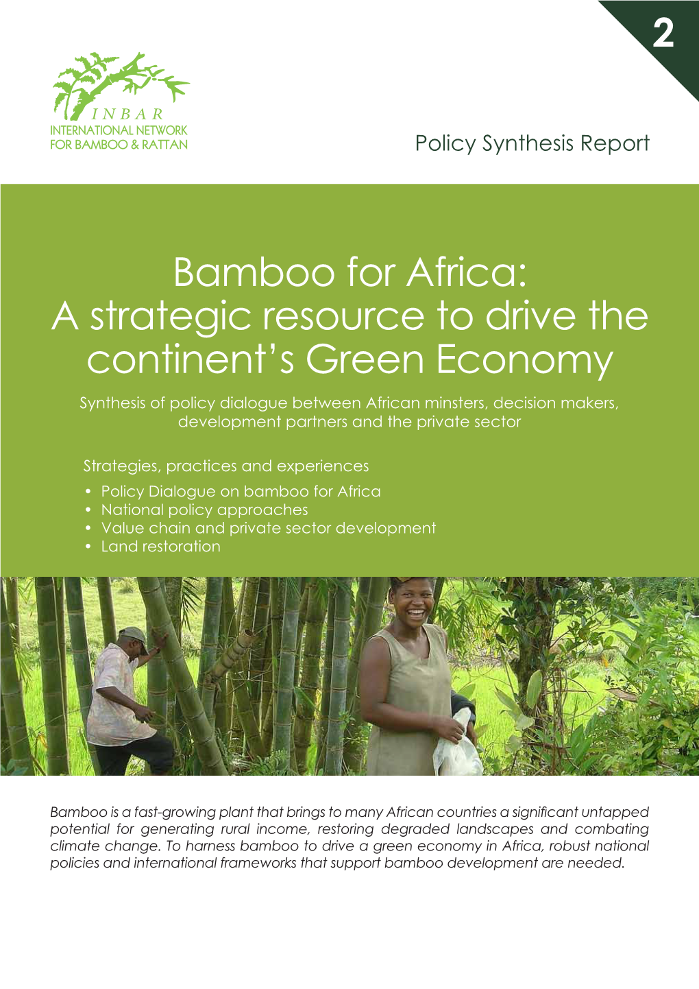 A Strategic Resource to Drive the Continent's Green Economy