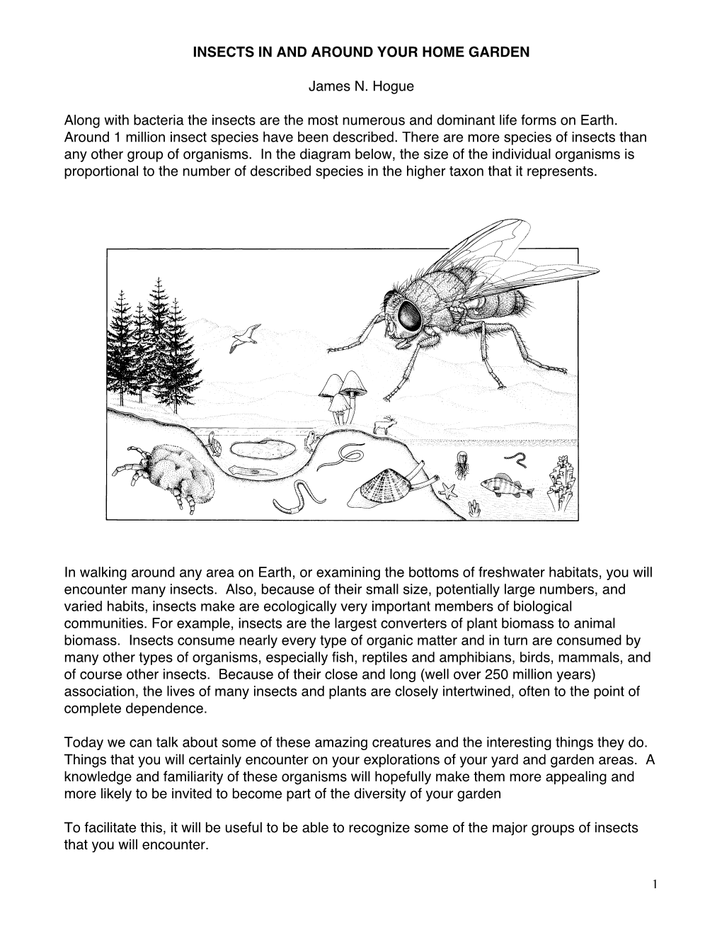 1 INSECTS in and AROUND YOUR HOME GARDEN James N. Hogue