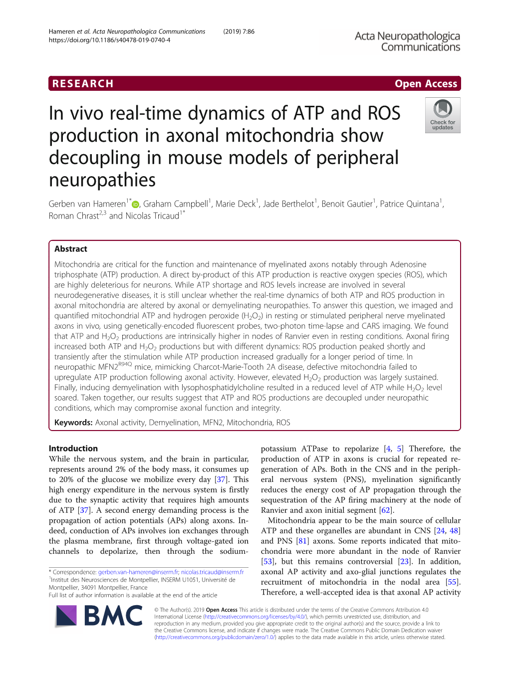 In Vivo Real-Time Dynamics of ATP and ROS Production in Axonal