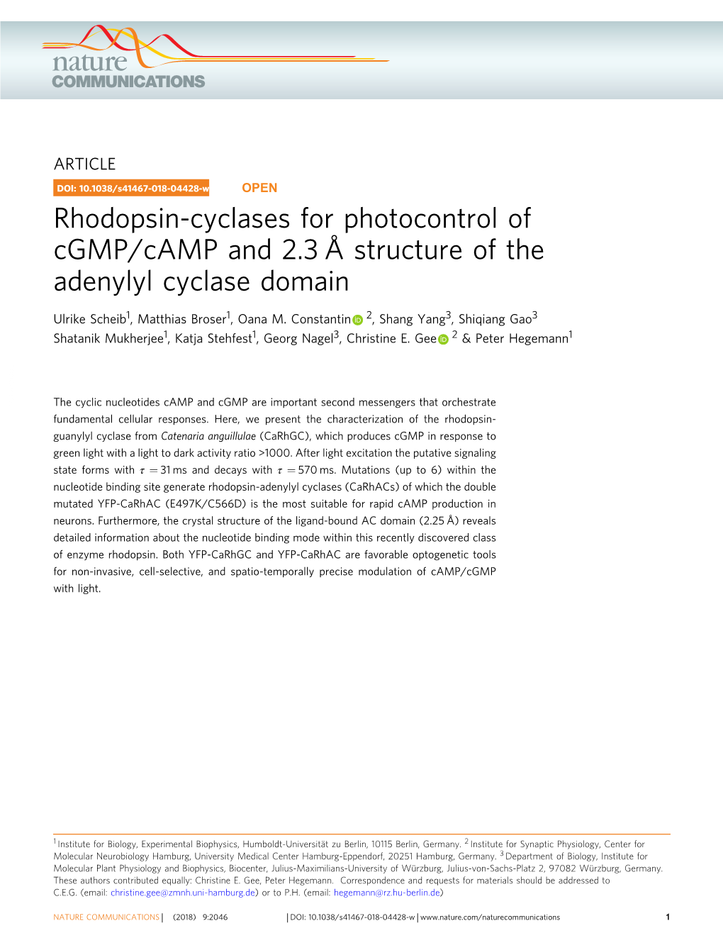 Rhodopsin-Cyclases for Photocontrol of Cgmp/Camp and 2.3 Å Structure of the Adenylyl Cyclase Domain