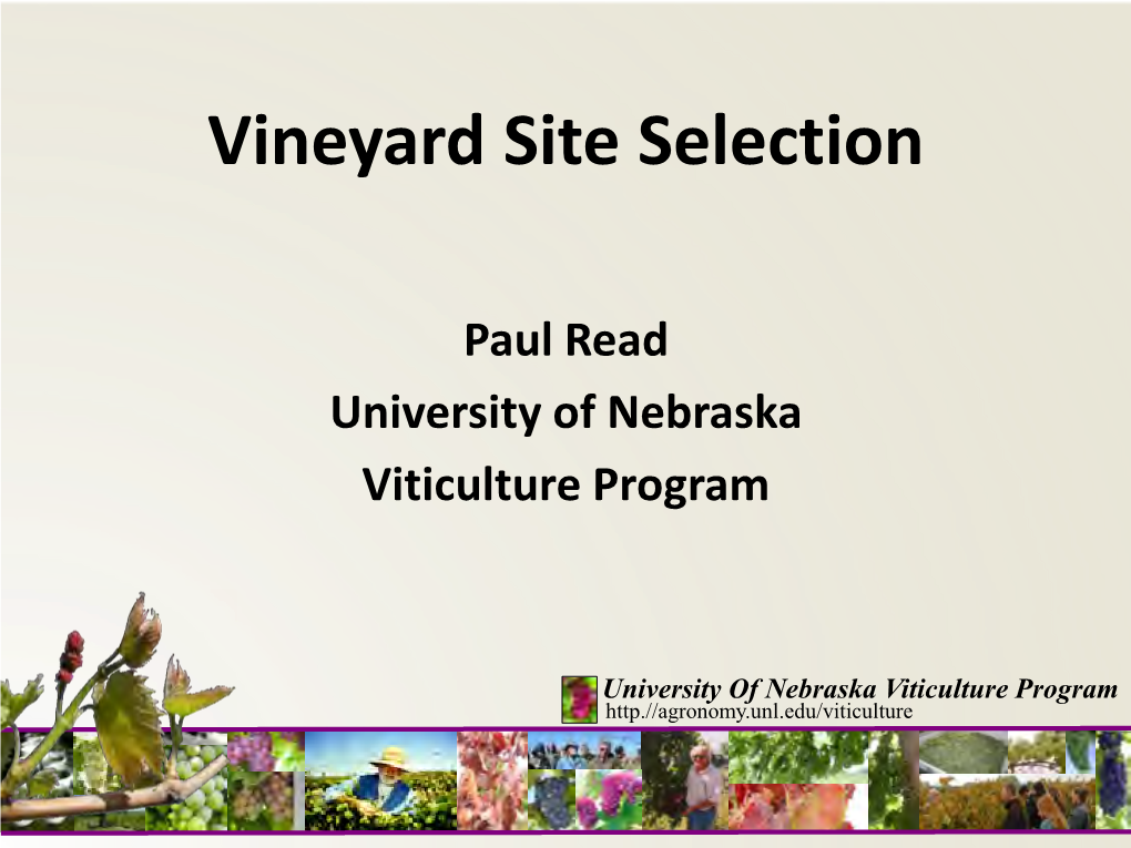 Vineyard Site Selection