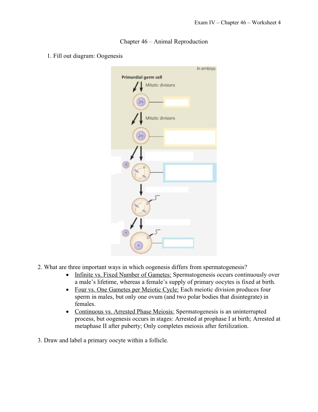 Exam IV Chapter 46 Worksheet 4