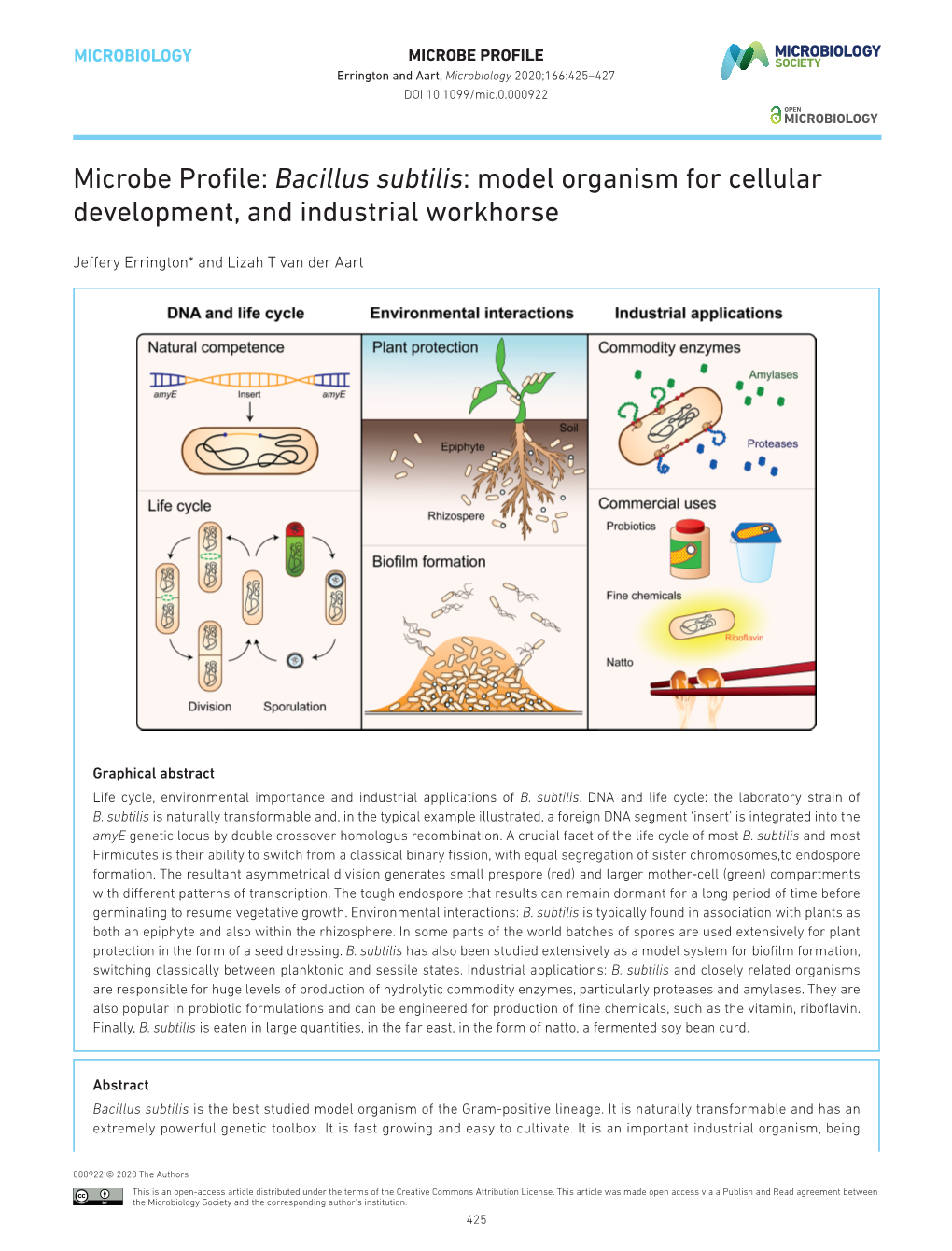 Bacillus Subtilis: Model Organism for Cellular Development, and Industrial Workhorse