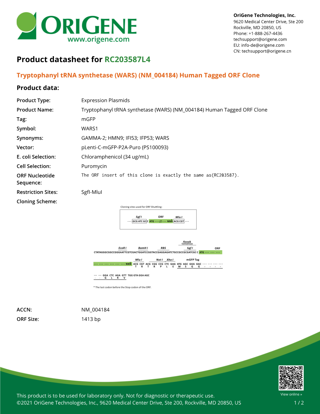 Tryptophanyl Trna Synthetase (WARS) (NM 004184) Human Tagged ORF Clone Product Data