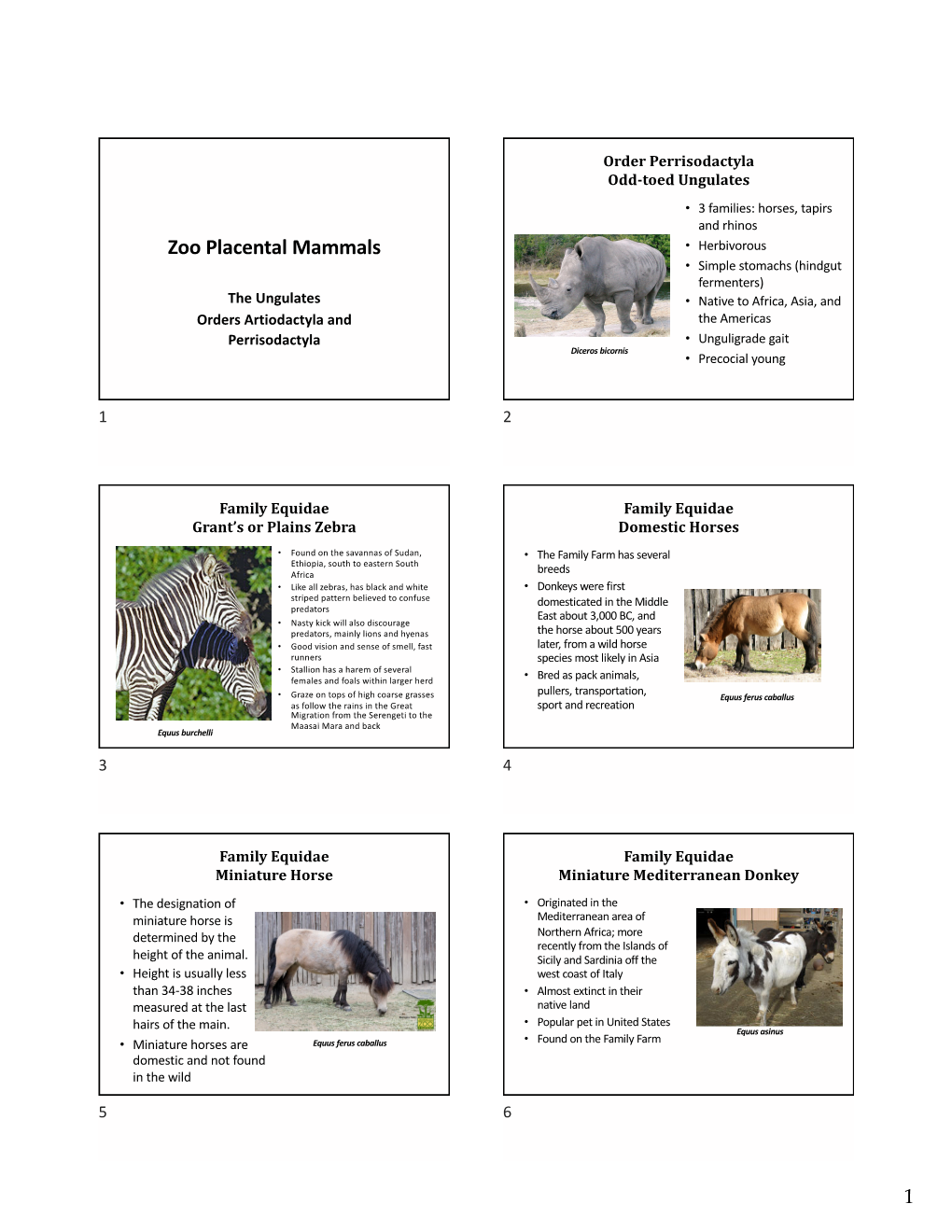 Zoo Placental Mammals