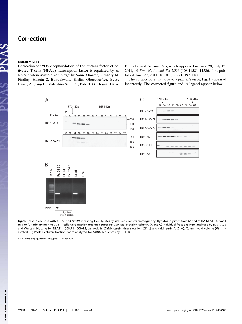 Dephosphorylation of the Nuclear Factor of Activated T Cells (NFAT) Transcription Factor Is Regulated by an RNA-Protein Scaffold Complex