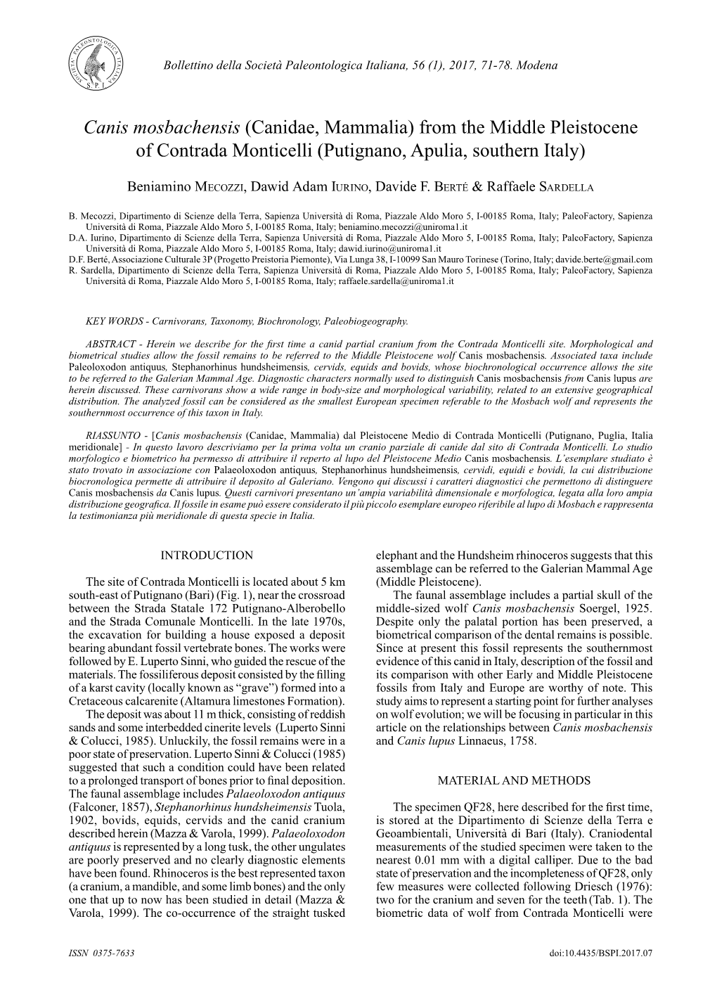 Canis Mosbachensis (Canidae, Mammalia) from the Middle Pleistocene of Contrada Monticelli (Putignano, Apulia, Southern Italy)