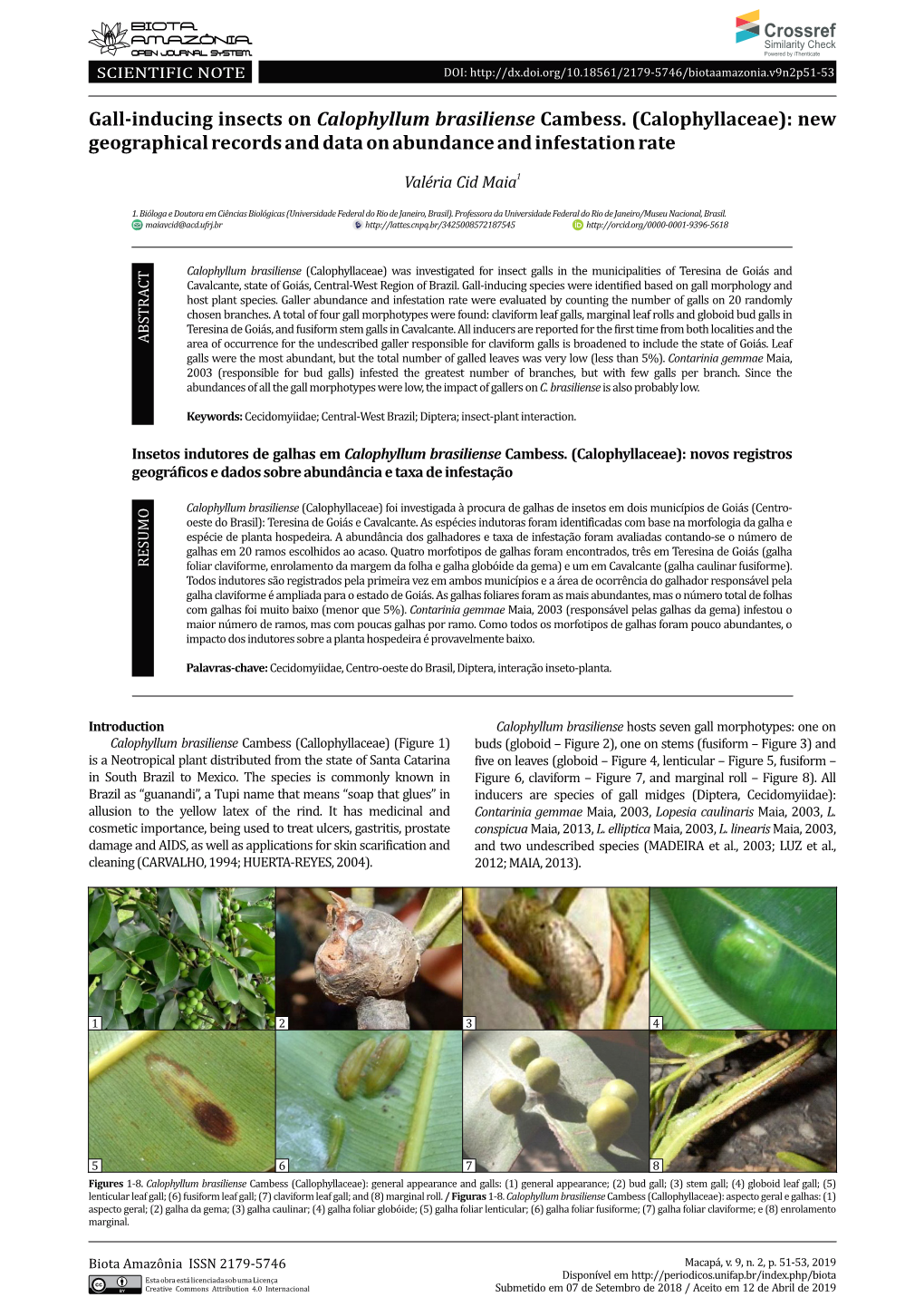 Gall-Inducing Insects on Calophyllum Brasiliense Cambess