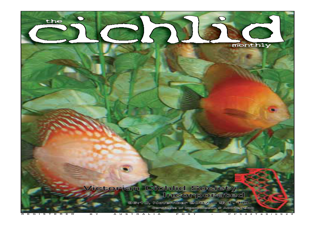 Victorian Cichlid Society Incorporated