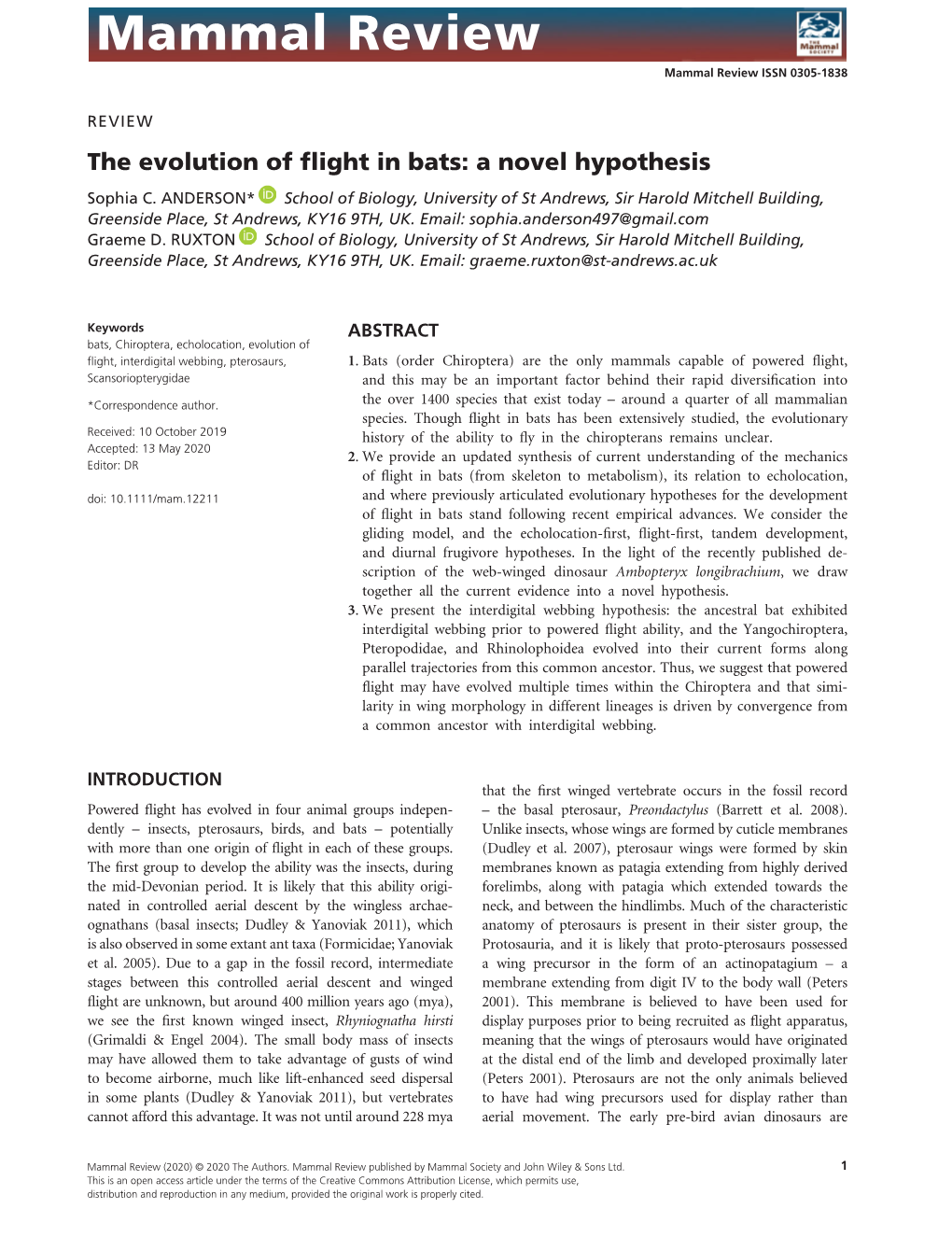 The Evolution of Flight in Bats: a Novel Hypothesis Sophia C