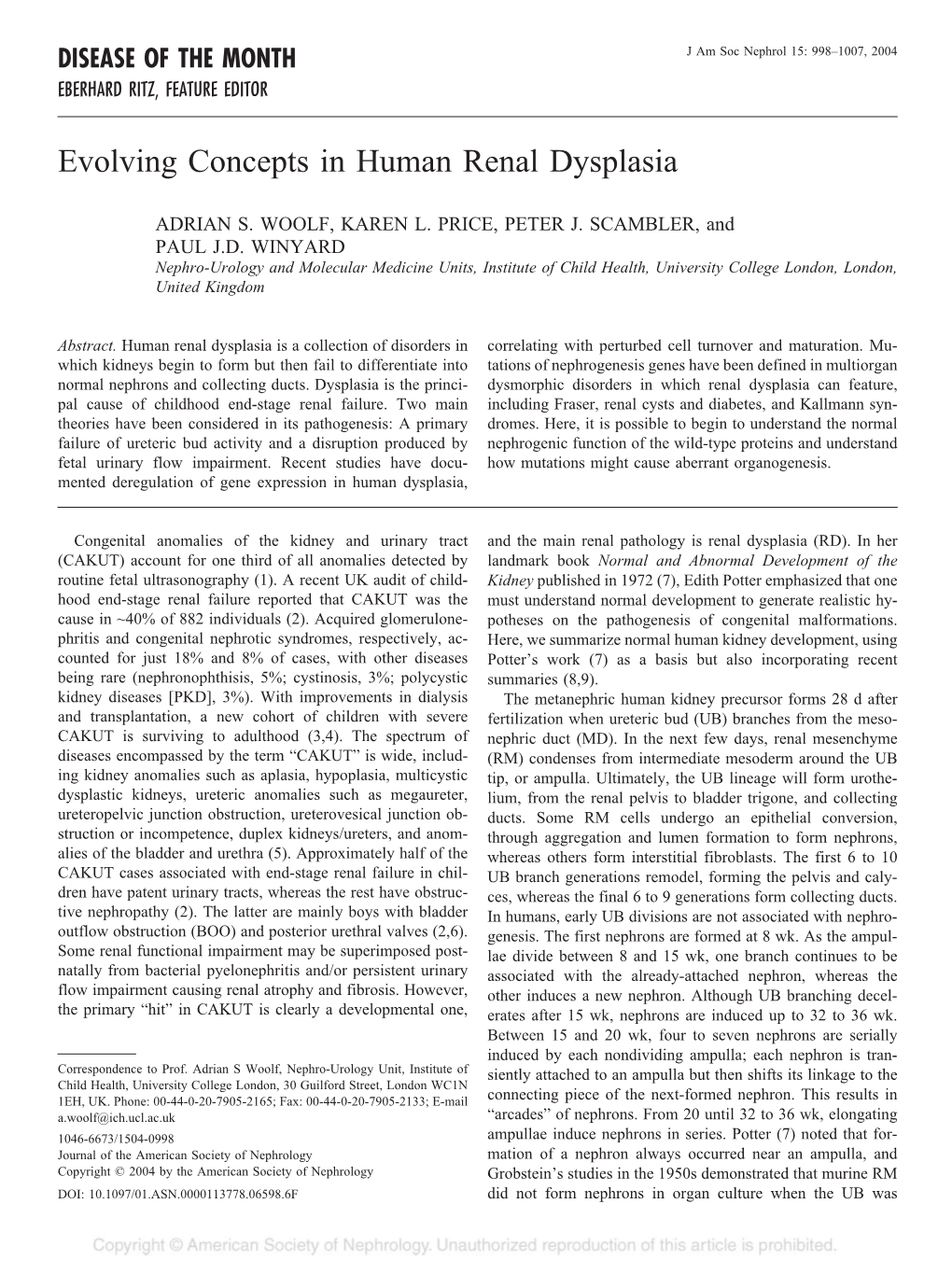 Evolving Concepts in Human Renal Dysplasia