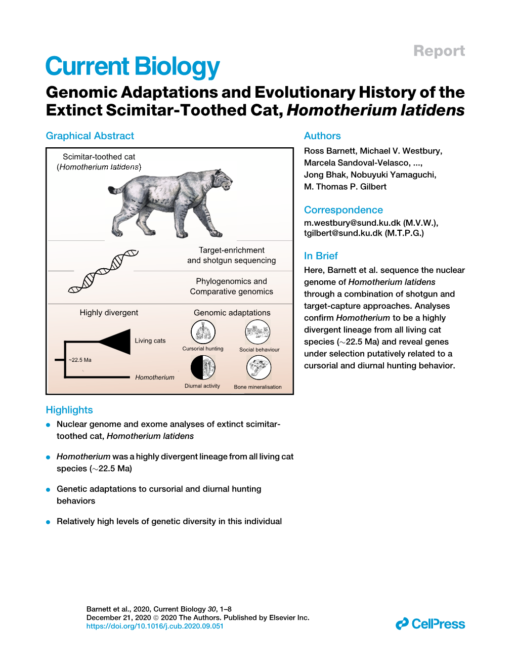 Genomic Adaptations and Evolutionary History of the Extinct Scimitar-Toothed Cat, Homotherium Latidens