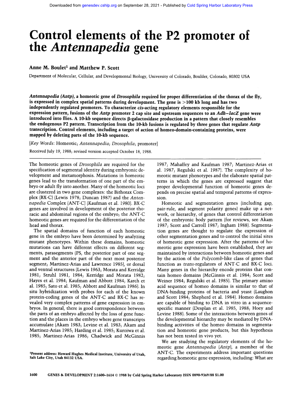 The Antennapedia Gene