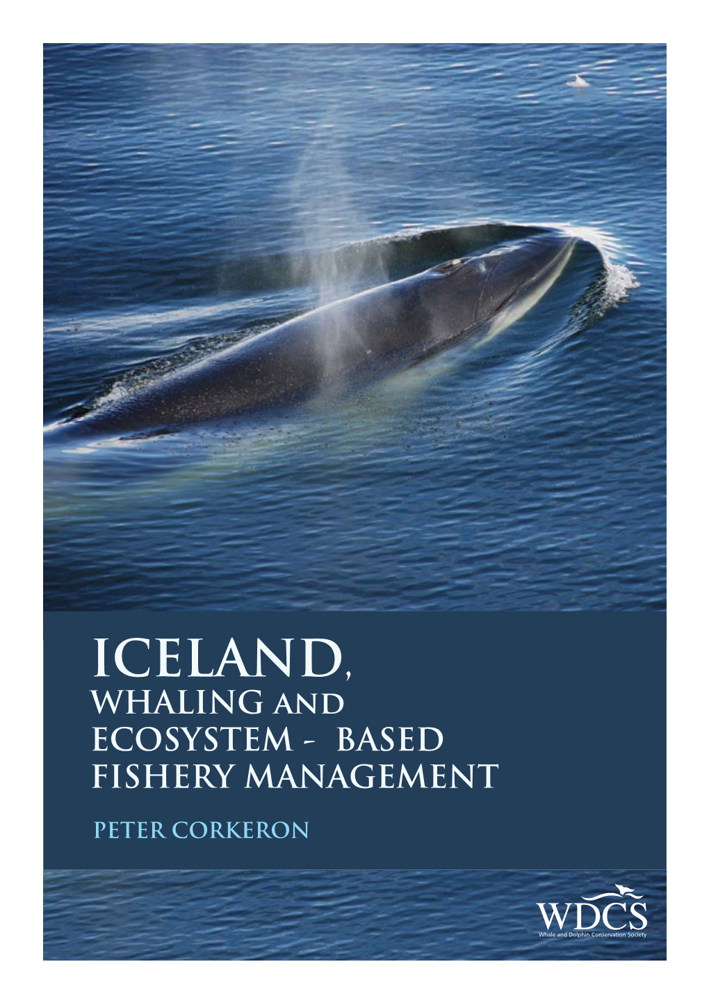 ICELAND, WHALING and ECOSYSTEM - BASED FISHERY MANAGEMENT