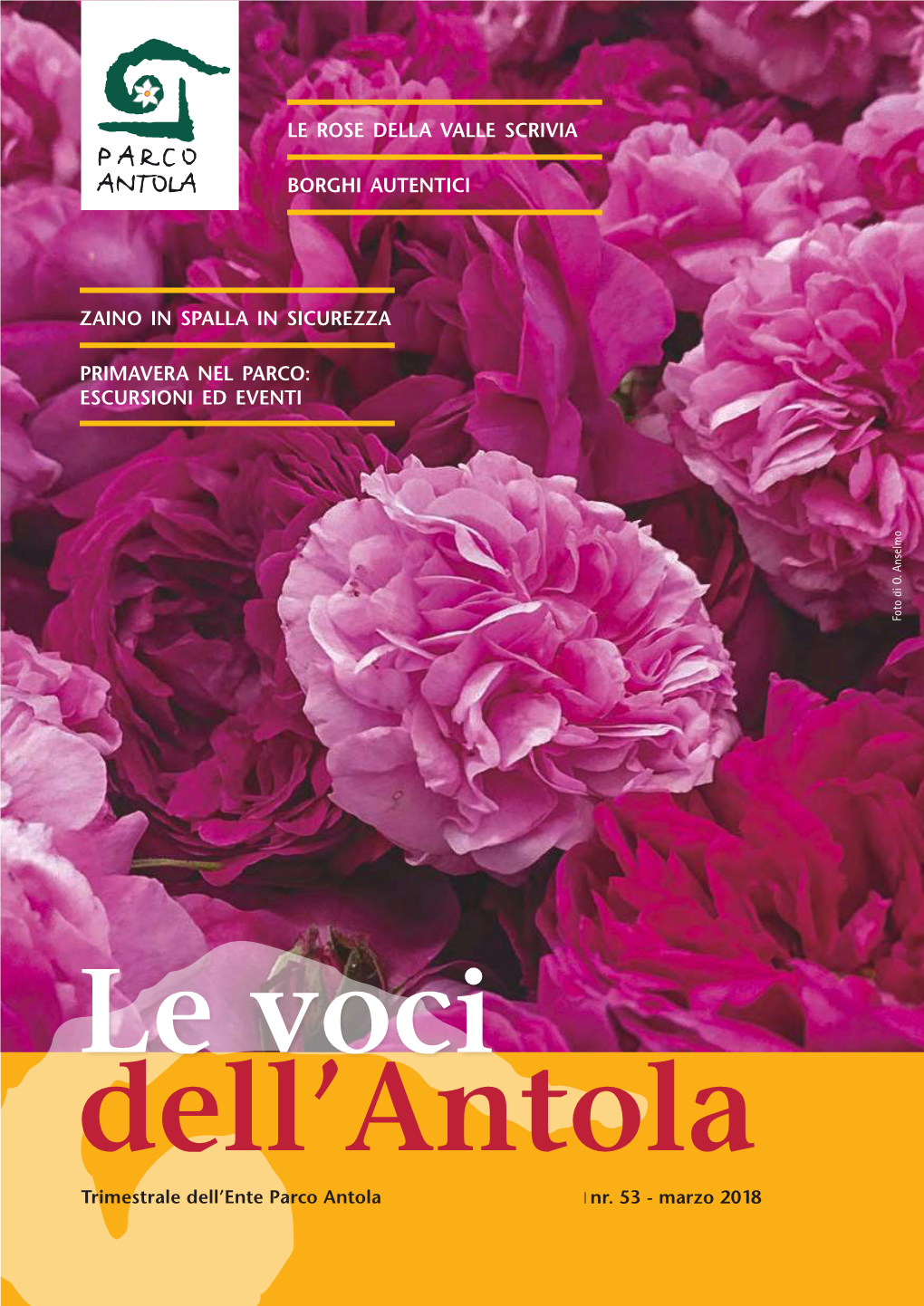 VOCI ANTOLA N53.Pdf