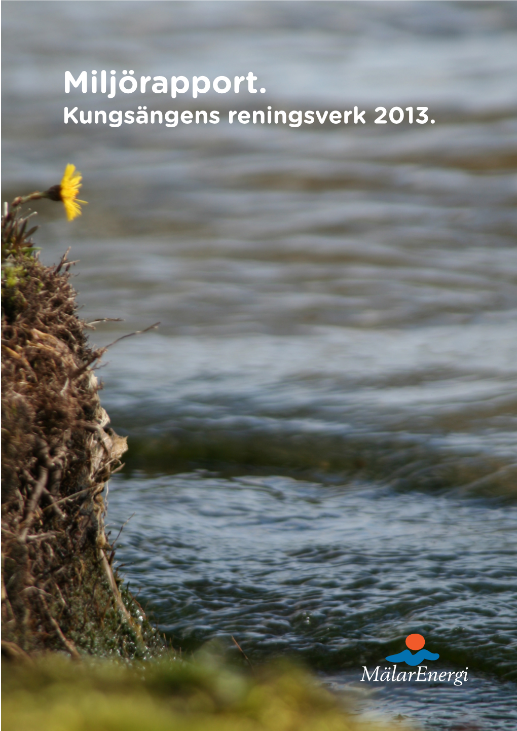 Kungsängsverket 2013