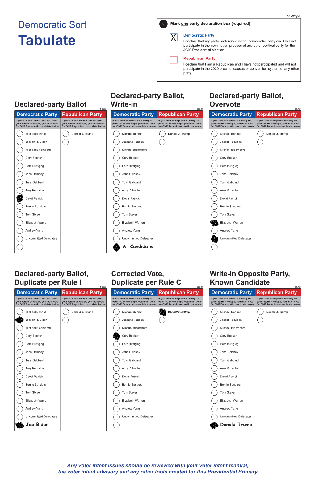 Voter Intent Posters