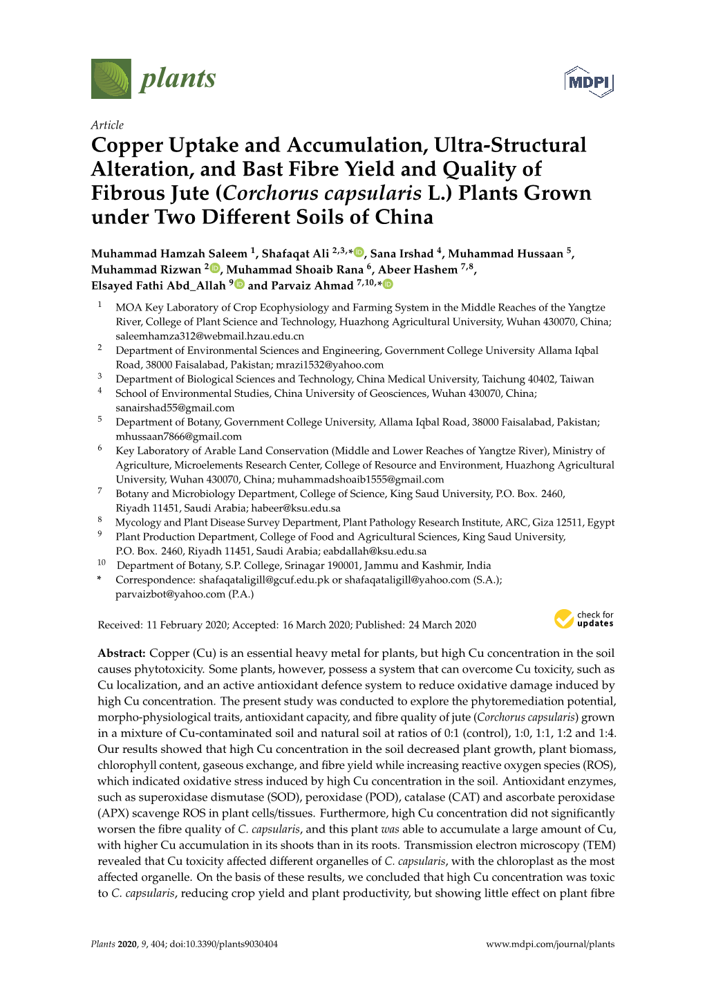 Copper Uptake and Accumulation, Ultra-Structural Alteration, and Bast