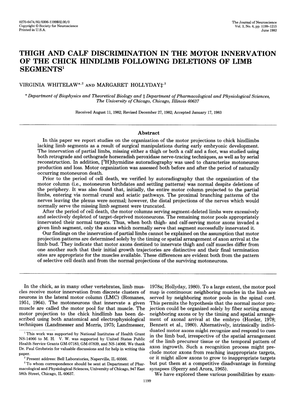 Thigh and Calf Discrimination in the Motor Innervation of the Chick Hindlimb Following Deletions of Limb Segments1