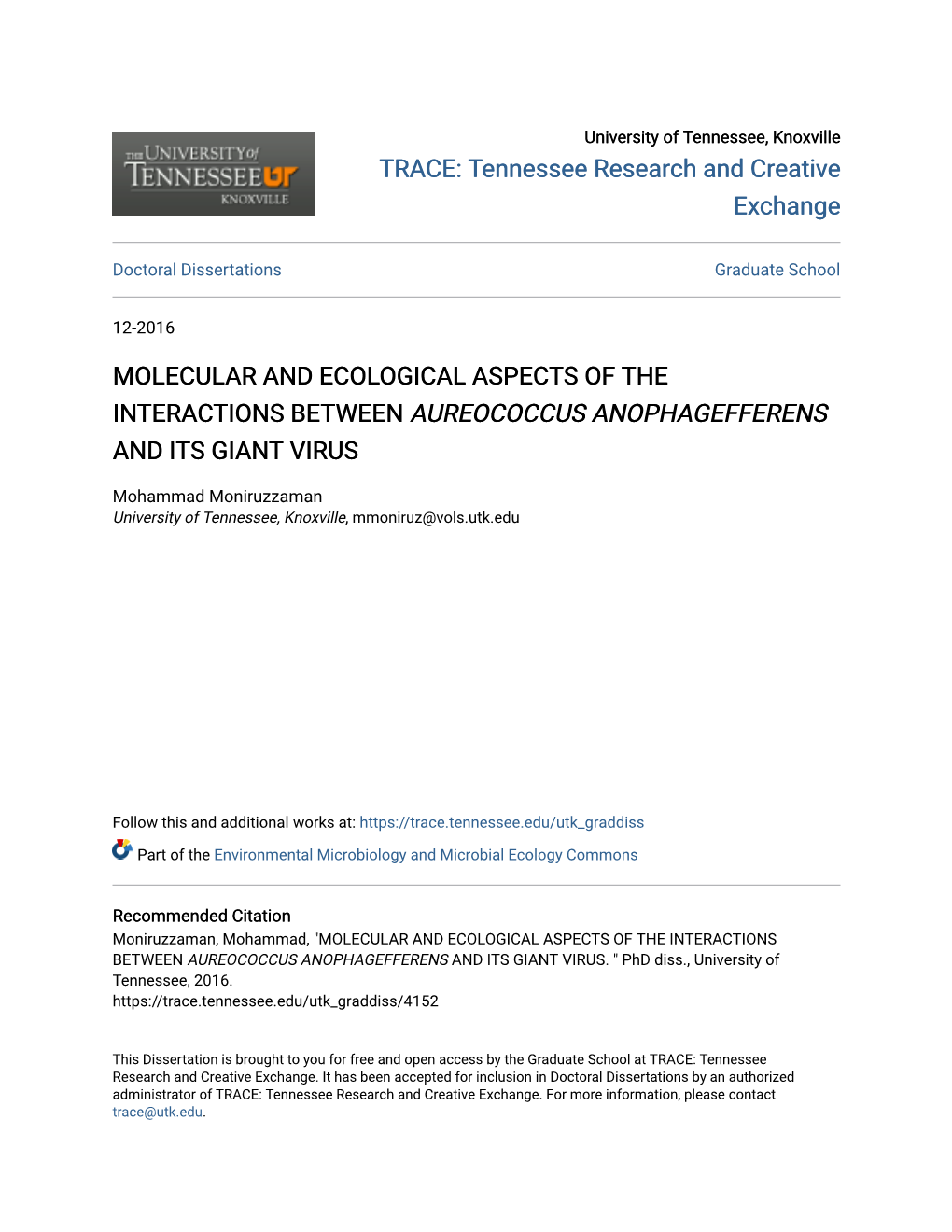 <I>AUREOCOCCUS ANOPHAGEFFERENS</I>