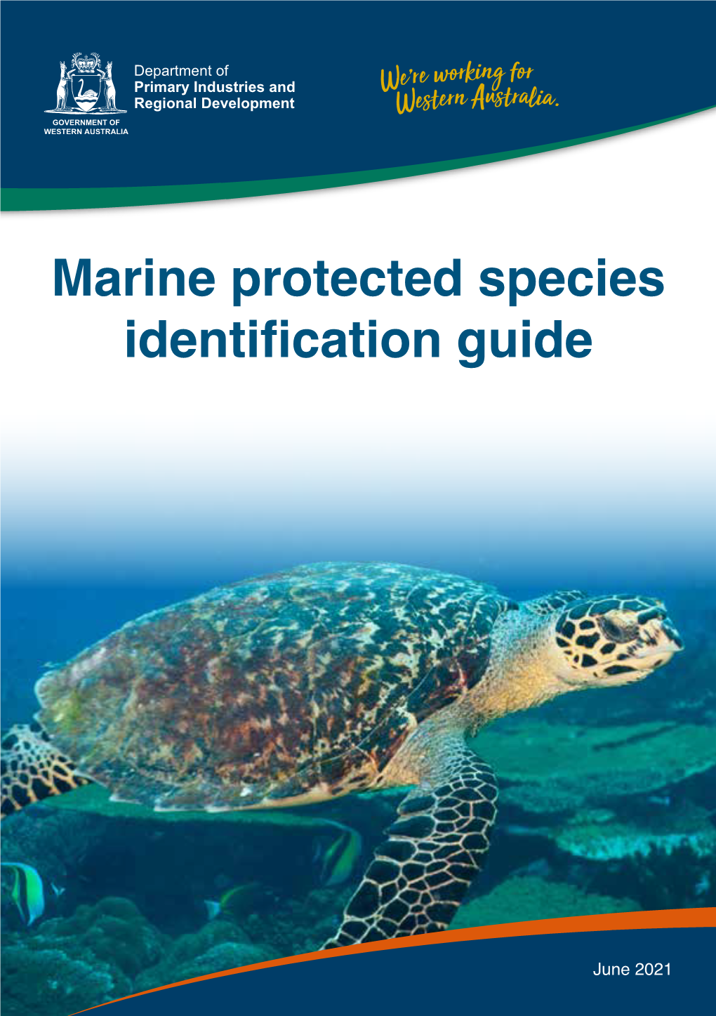 Marine Protected Species Identification Guide