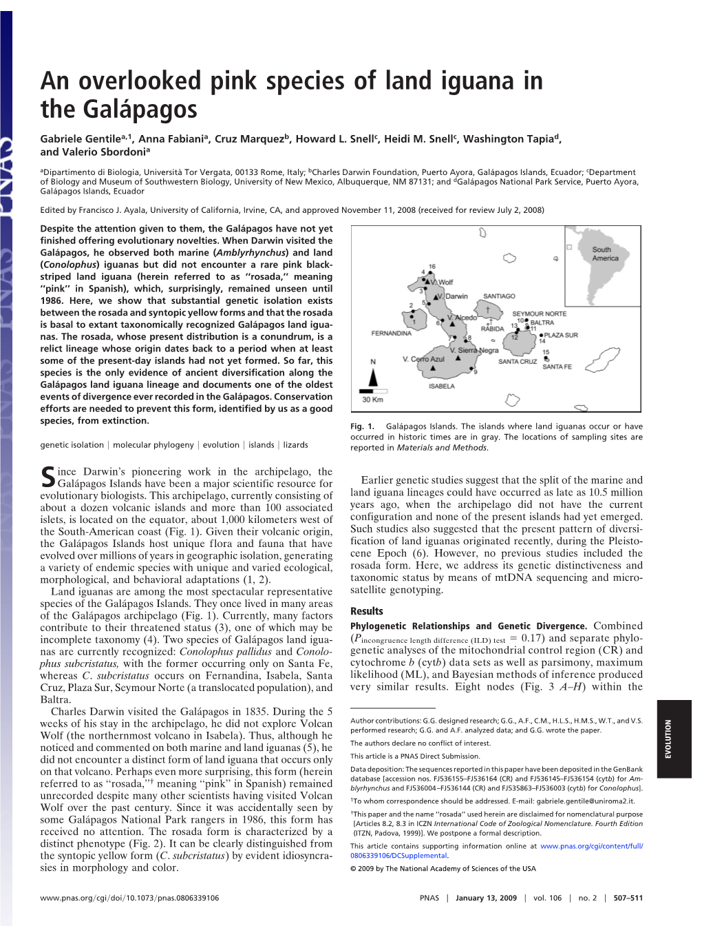 An Overlooked Pink Species of Land Iguana in the Galápagos Gabriele Gentilea,1, Anna Fabiania, Cruz Marquezb, Howard L