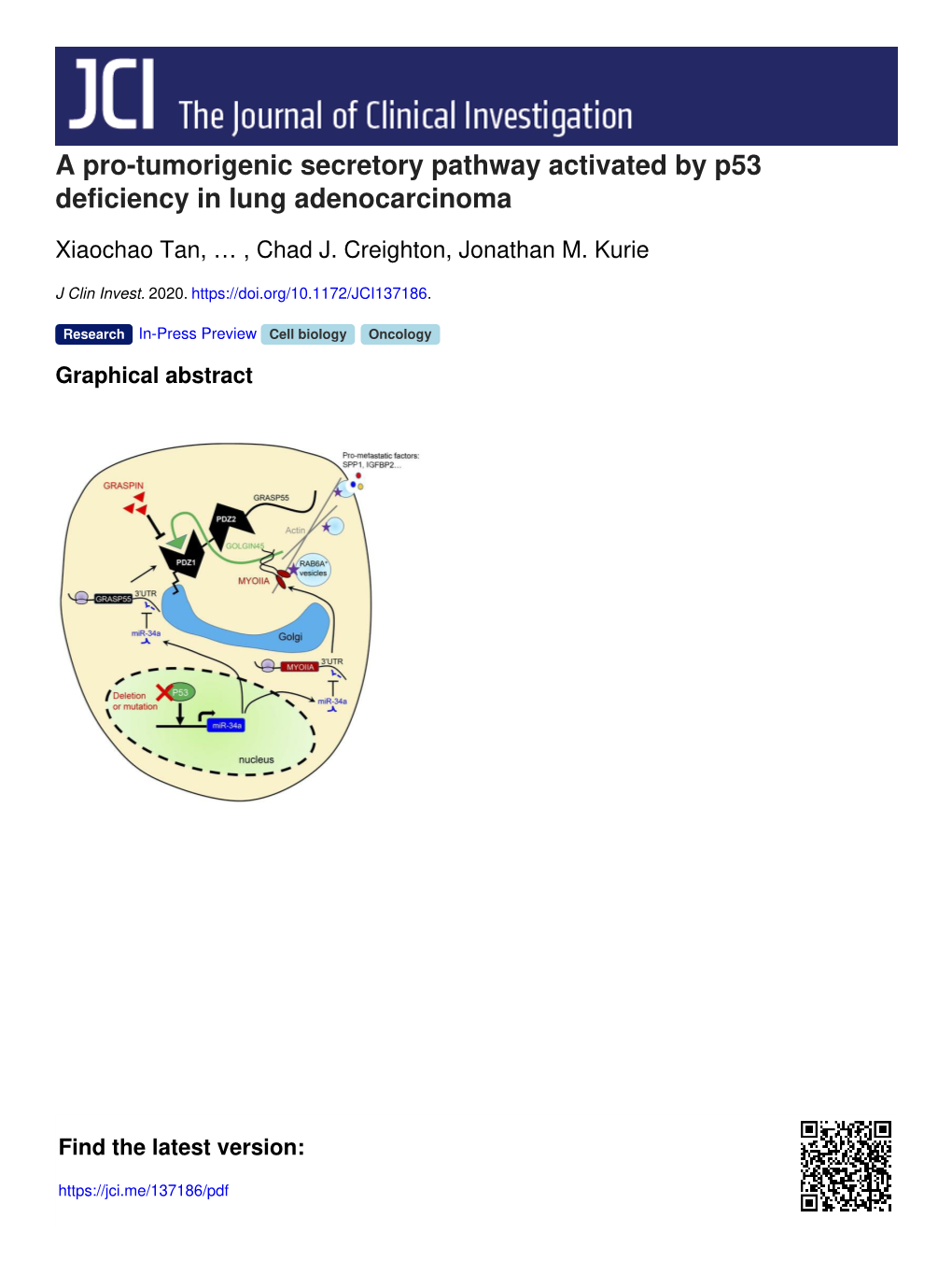 A Pro-Tumorigenic Secretory Pathway Activated by P53 Deficiency in Lung Adenocarcinoma