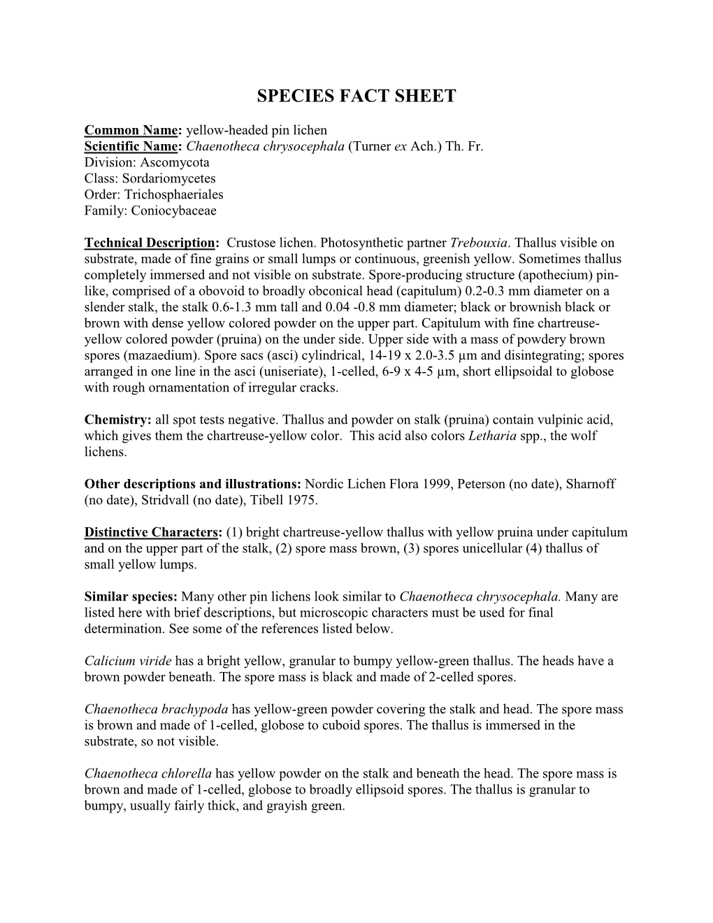 Chaenotheca Chrysocephala Species Fact Sheet