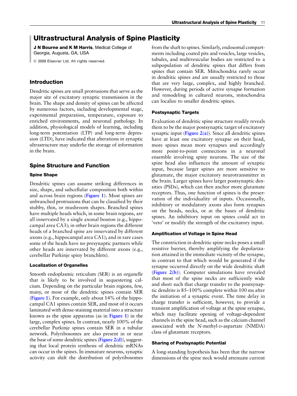 Ultrastructural Analysis of Spine Plasticity 11