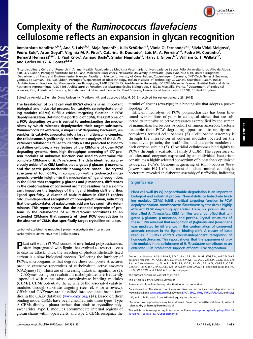 Complexity of the Ruminococcus Flavefaciens Cellulosome Reflects an Expansion in Glycan Recognition