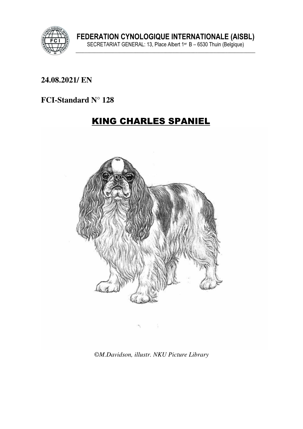 King Charles Spaniel