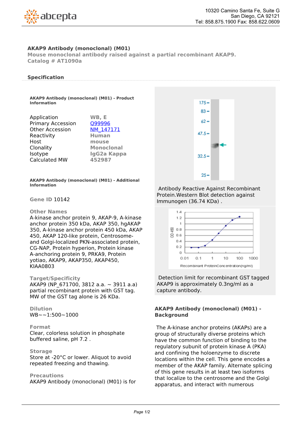 AKAP9 Antibody (Monoclonal) (M01) Mouse Monoclonal Antibody Raised Against a Partial Recombinant AKAP9