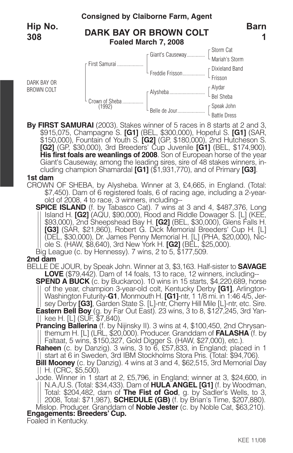 DARK BAY OR BROWN COLT Barn 1 Hip No