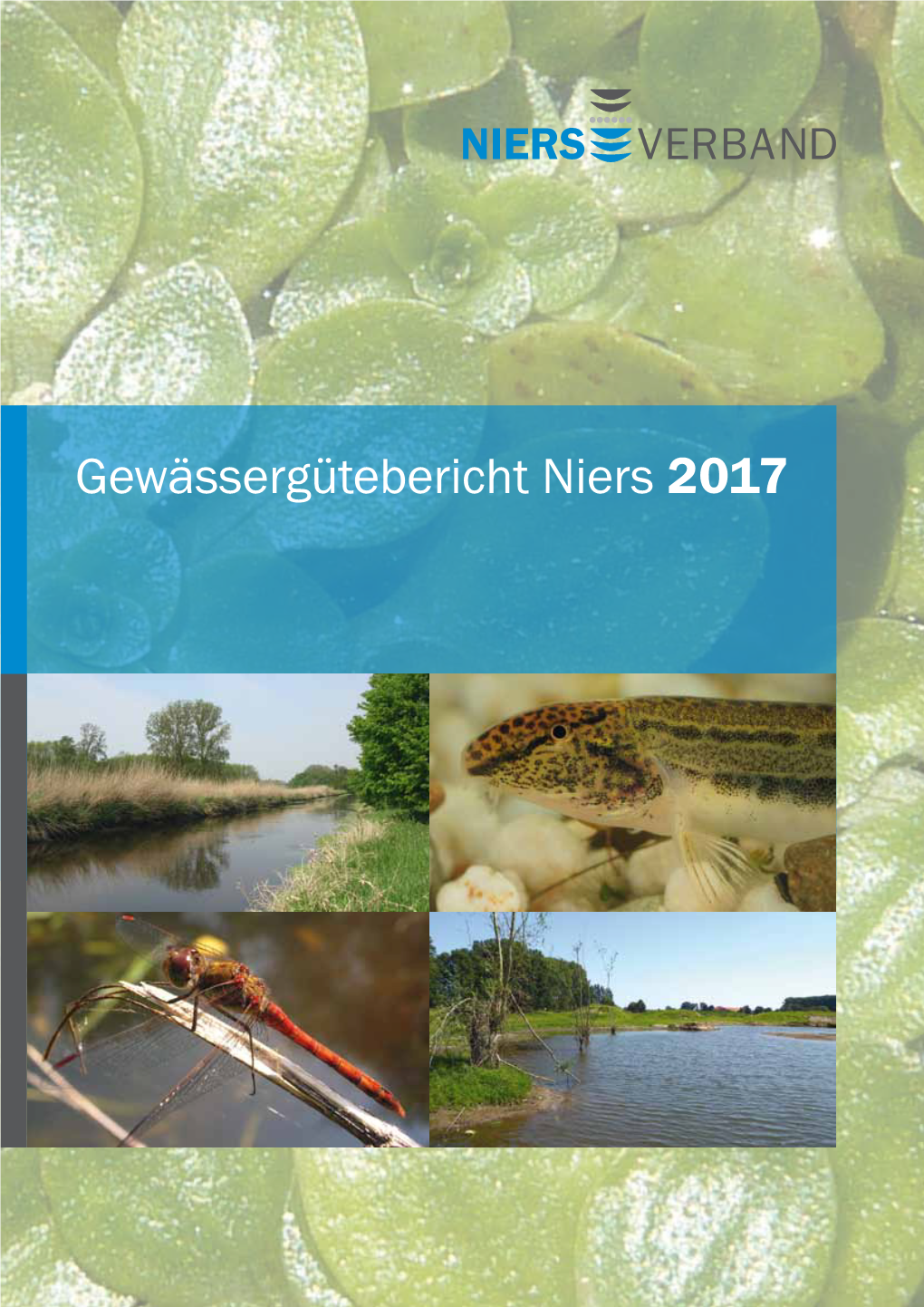 Gewässergütebericht Niers 2017 2017 Niers Gewässergütebericht Gewässergütebericht Gewässergütebericht Niers 2017 Bericht Über Die Beschaffenheit Der Niers