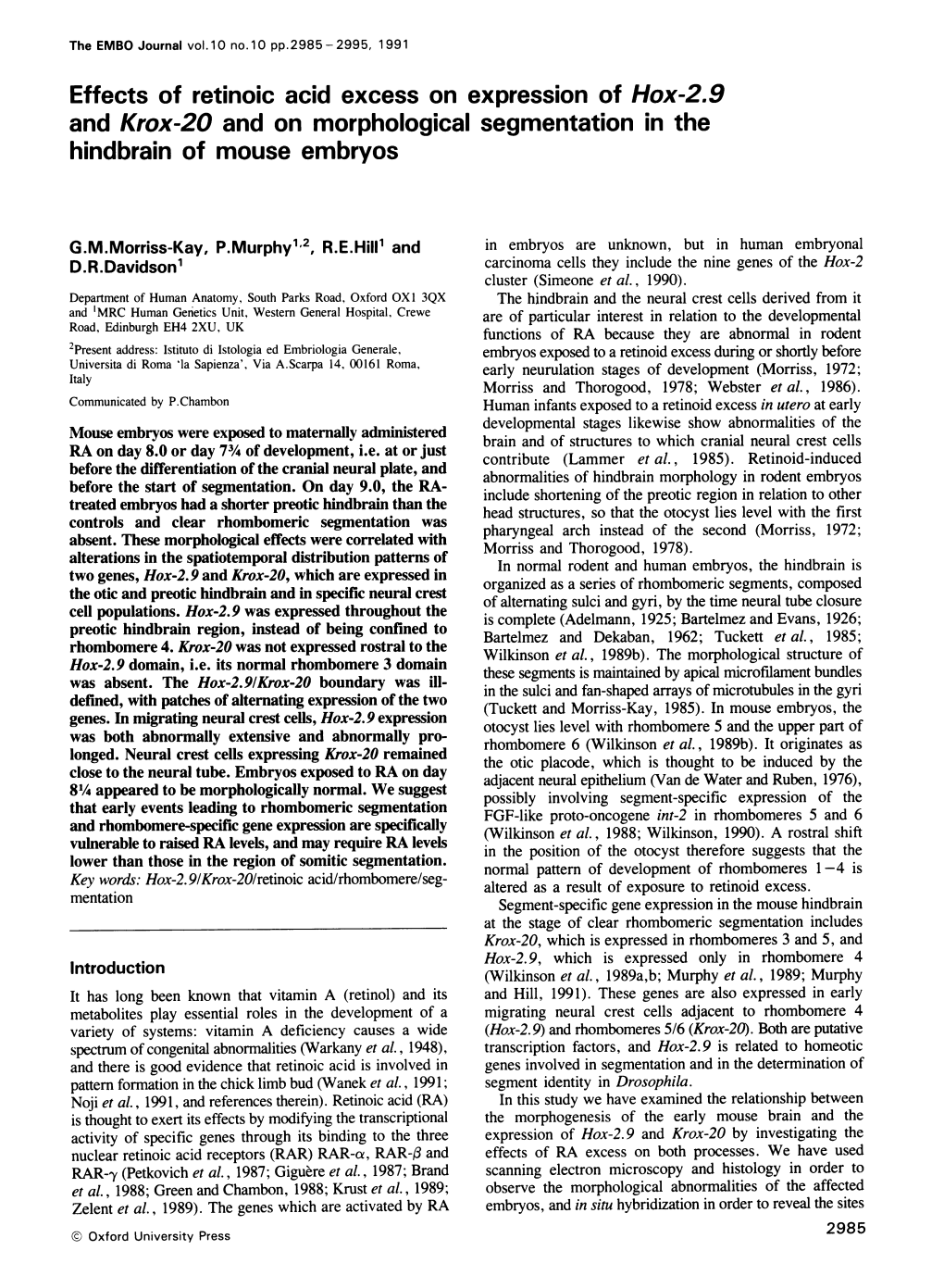 And Krox-20 and on Morphological Segmentation in the Hindbrain of Mouse Embryos