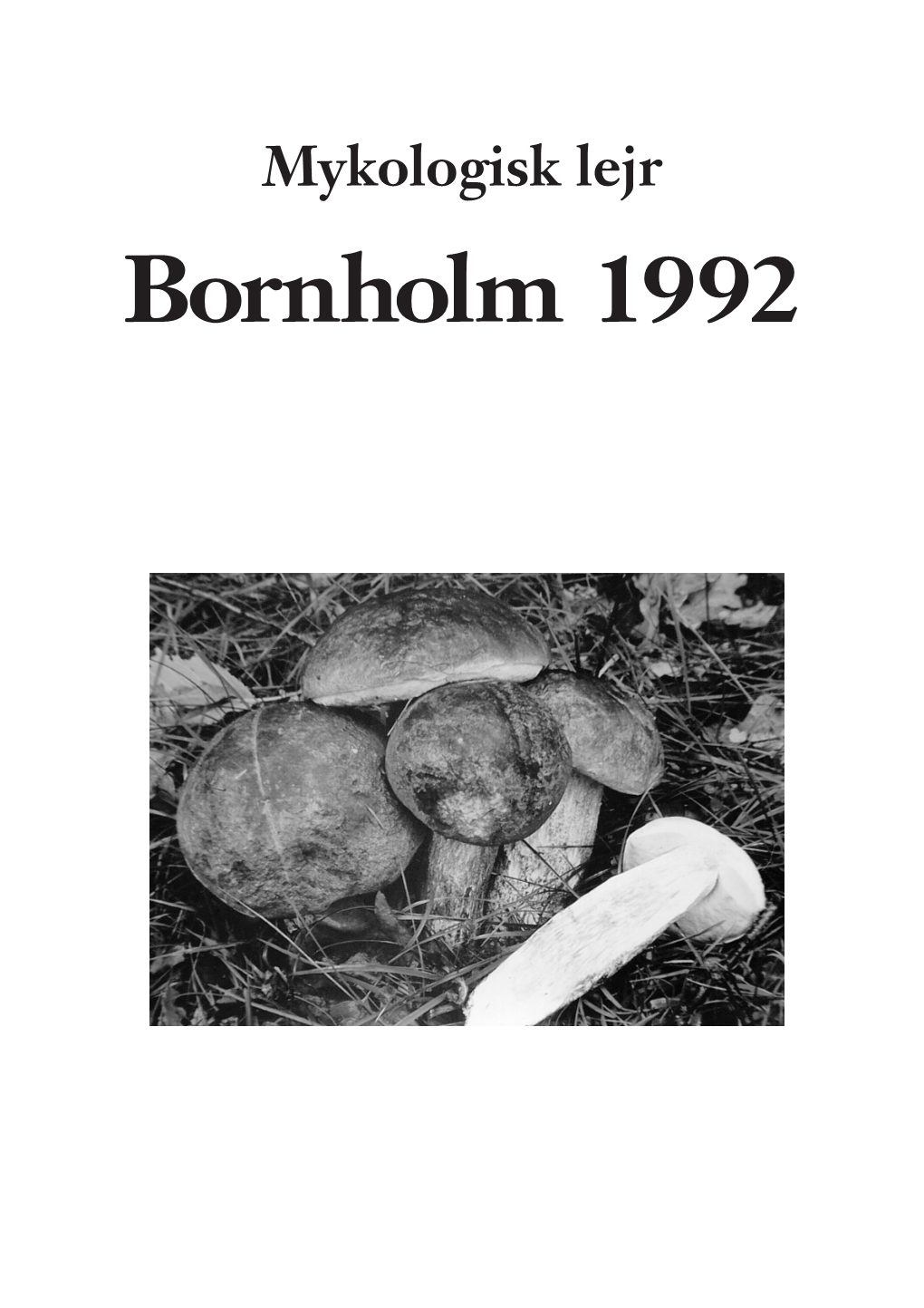 Bornholm 1992 Mykologisk Lejr, Bornholm 1992 1
