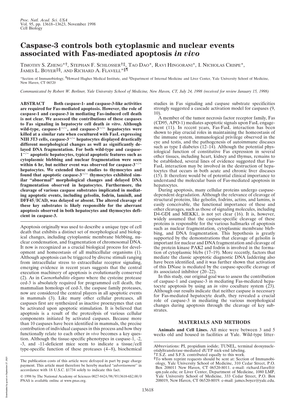 Caspase-3 Controls Both Cytoplasmic and Nuclear Events Associated with Fas-Mediated Apoptosis in Vivo