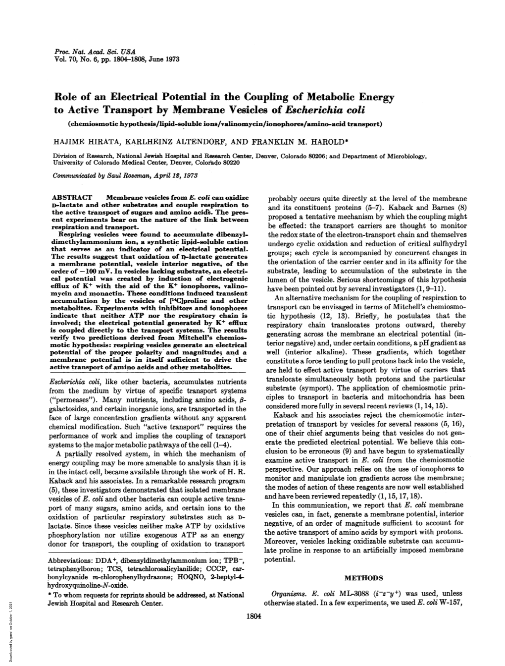 Role of an Electrical Potential in the Coupling of Metabolic Energy To