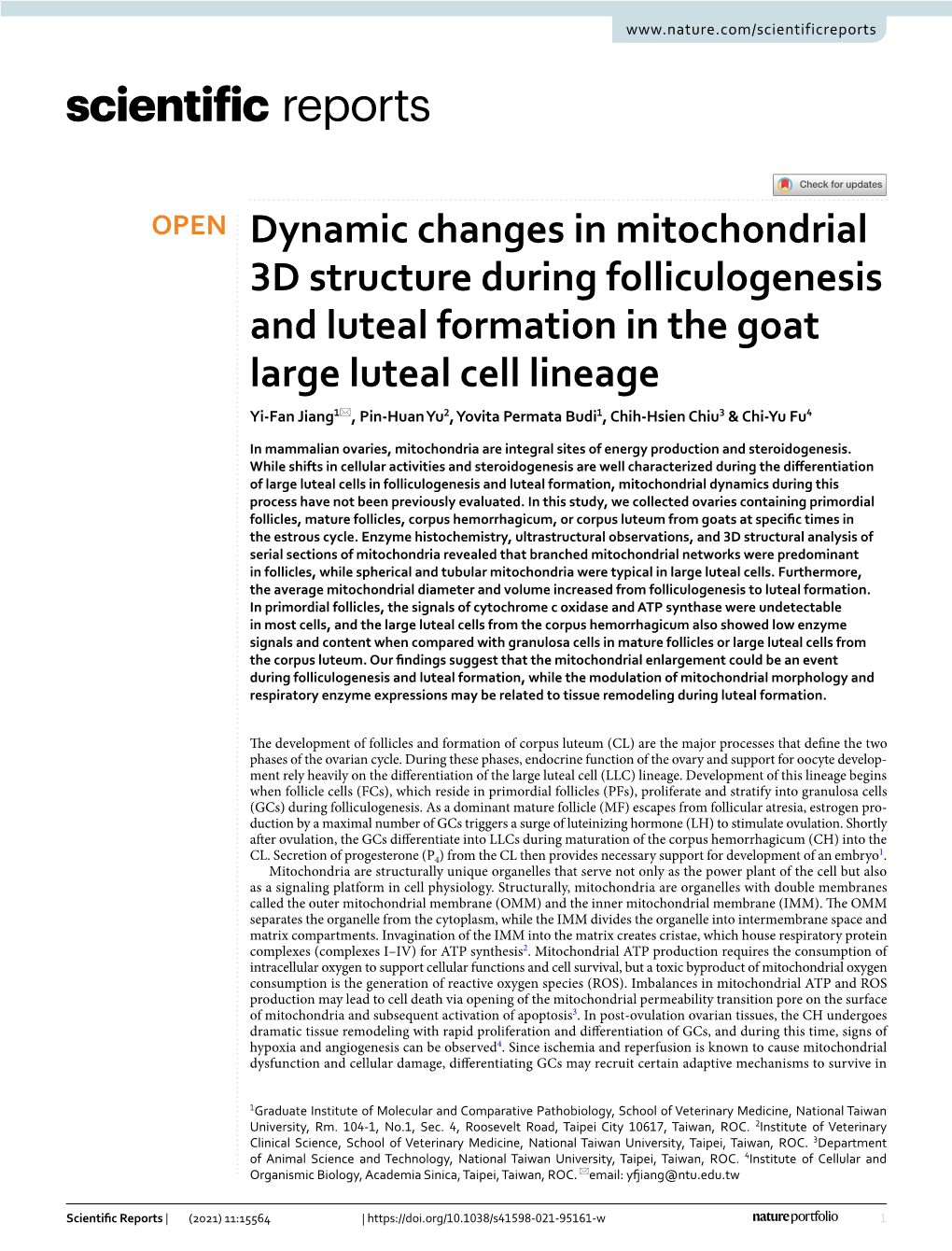 Dynamic Changes in Mitochondrial 3D Structure During Folliculogenesis