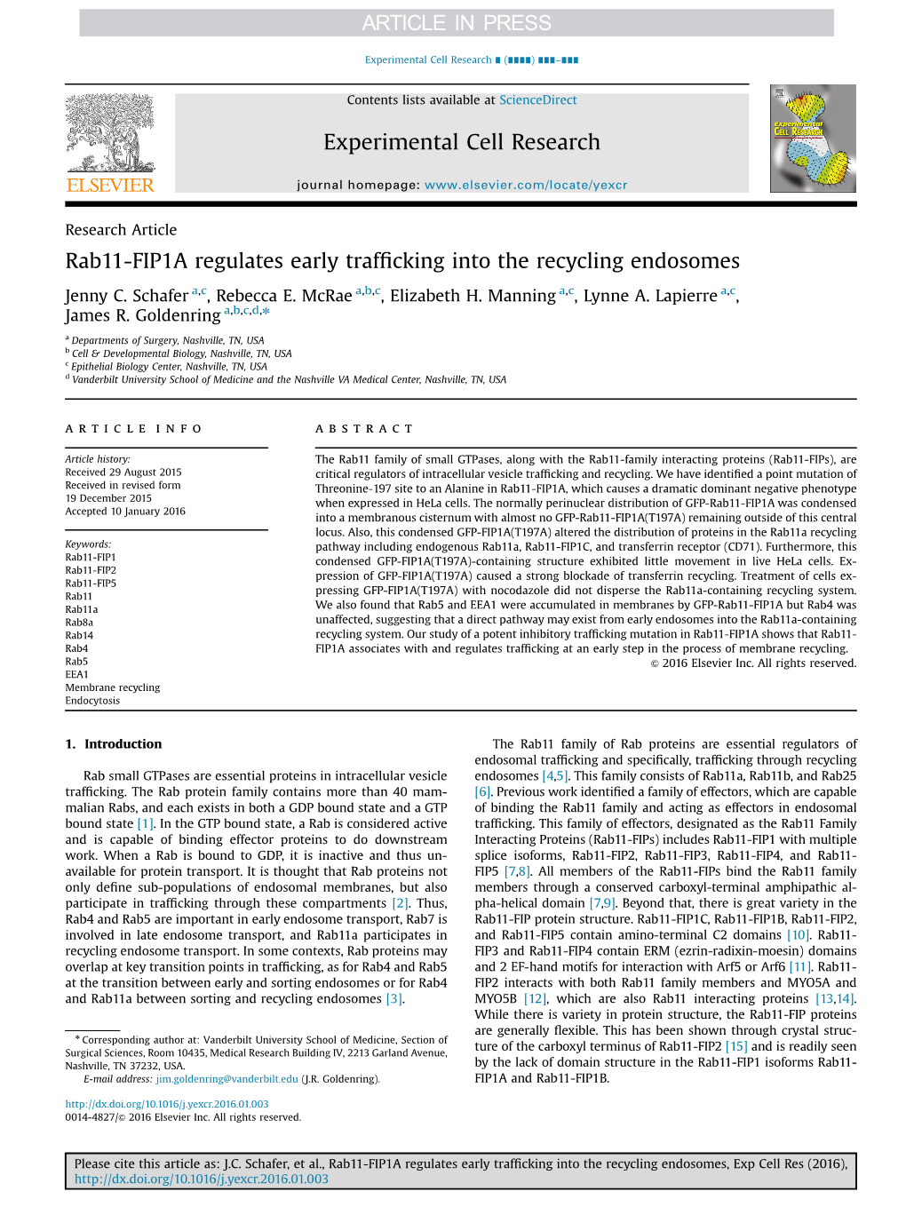 Rab11-FIP1A Regulates Early Trafficking Into the Recycling