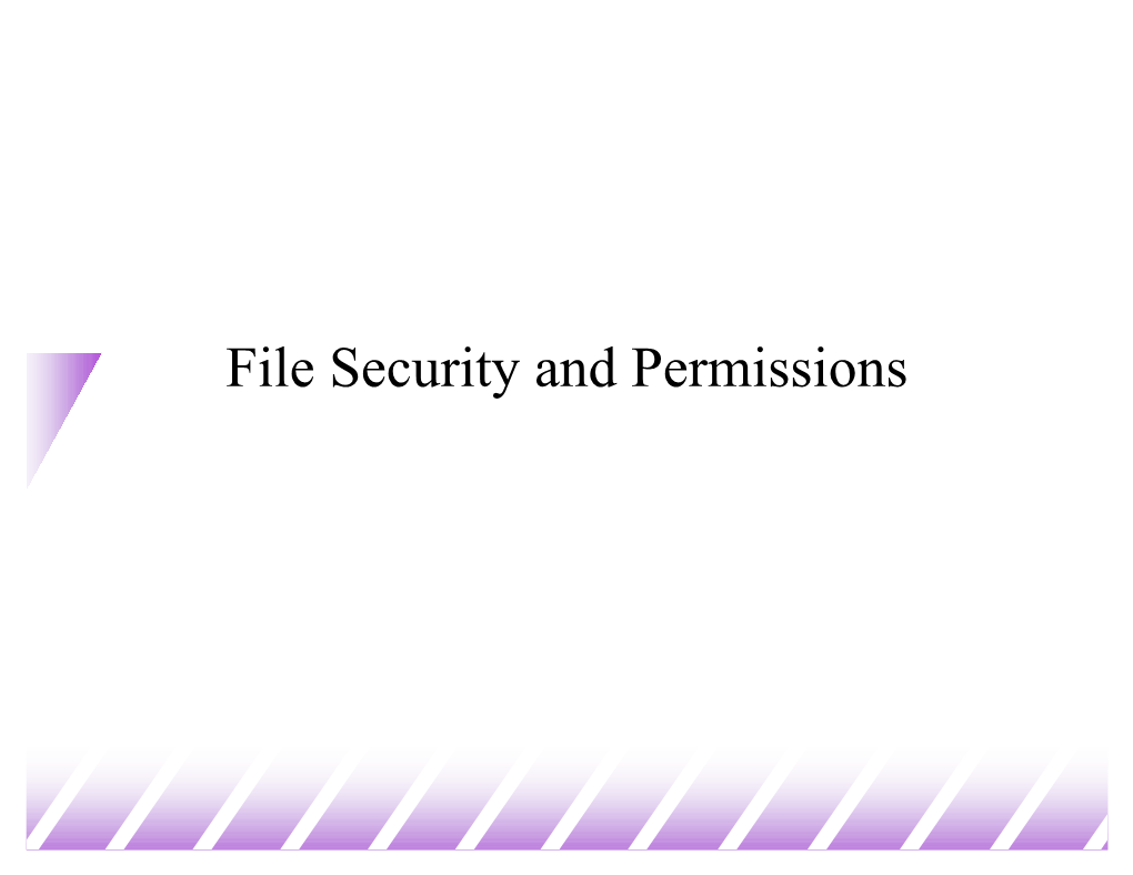 File Security and Permissions