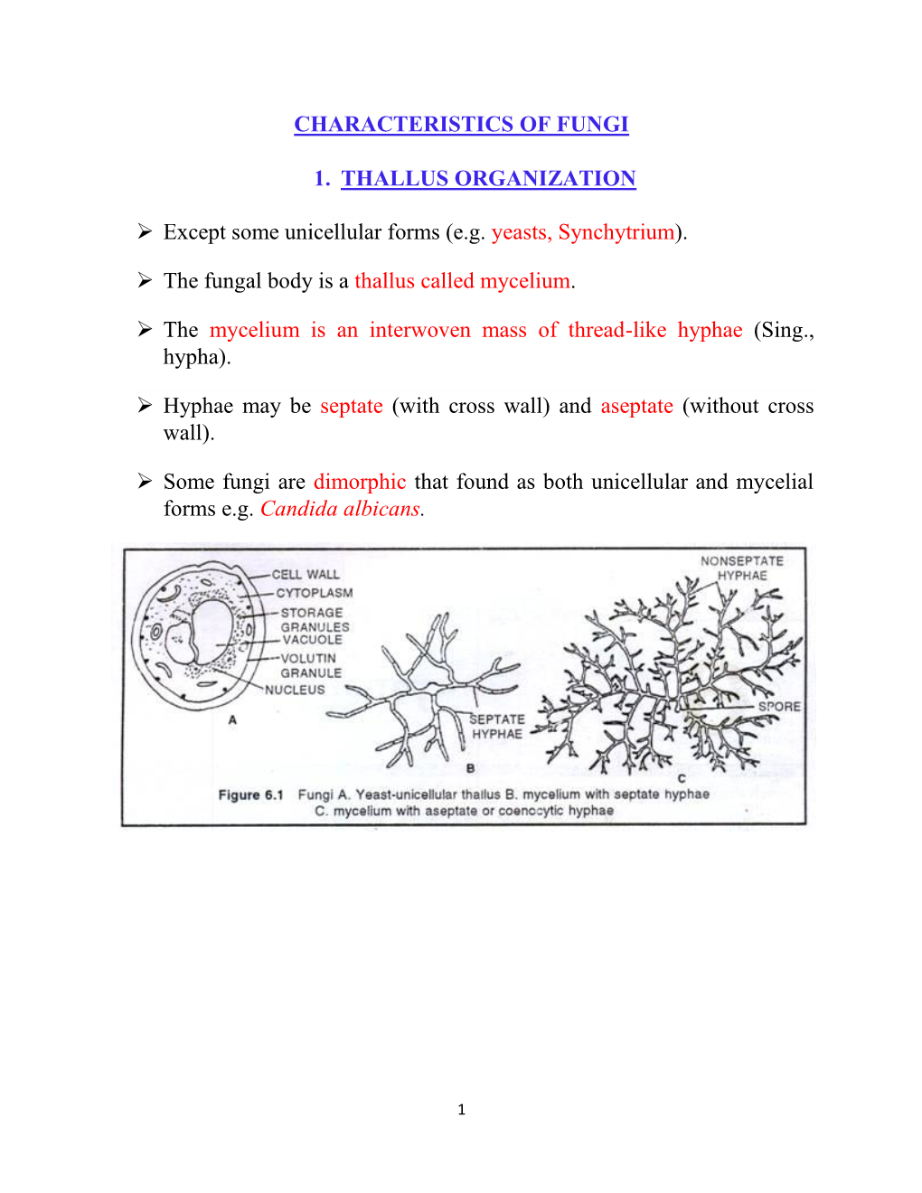 Characteristics of Fungi 1. Thallus